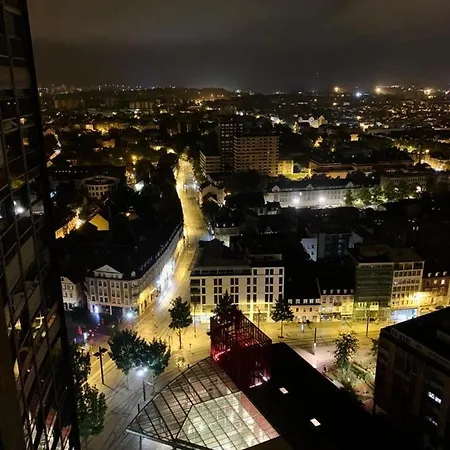 Grand 2 5 Pers Max, Vue Panoramique Avec Parking Mulhouse