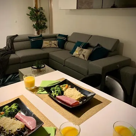 Apartment Grand 2 5 Pers Max, Vue Panoramique Avec Parking Mulhouse