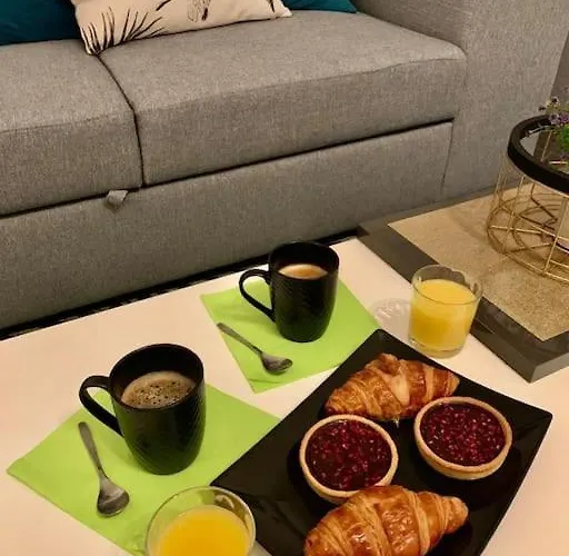 Lägenhet Grand 2 5 Pers Max, Vue Panoramique Avec Parking Mulhouse